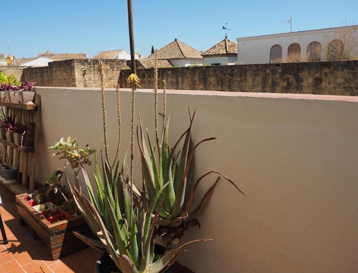 Apartamento En Juderia La Murallita Кордова Екстер'єр фото